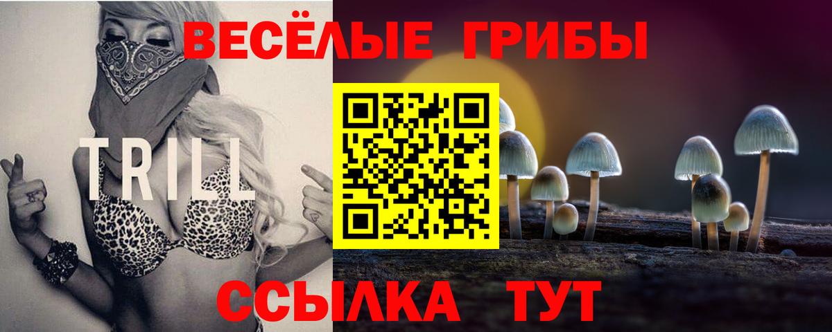 Псилоцибиновые грибы MAGIC MUSHROOMS Красноуфимск